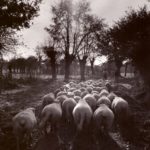 Le chemin des possibles