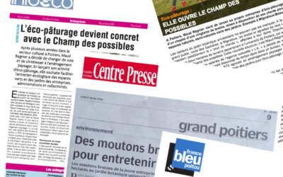 Revue de presse