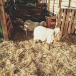 lechampdespossibles poitiers