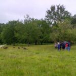 les accessifs atelier ecopaturage2021