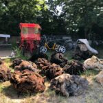 toisons-moutons-landes-de-bretagne-tonte