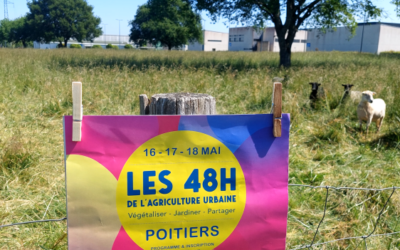 Les prairies urbaines