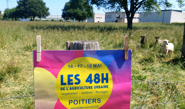 Les prairies urbaines