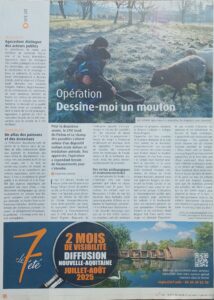 Article Le7 - classe dehors, dessine-moi un mouton