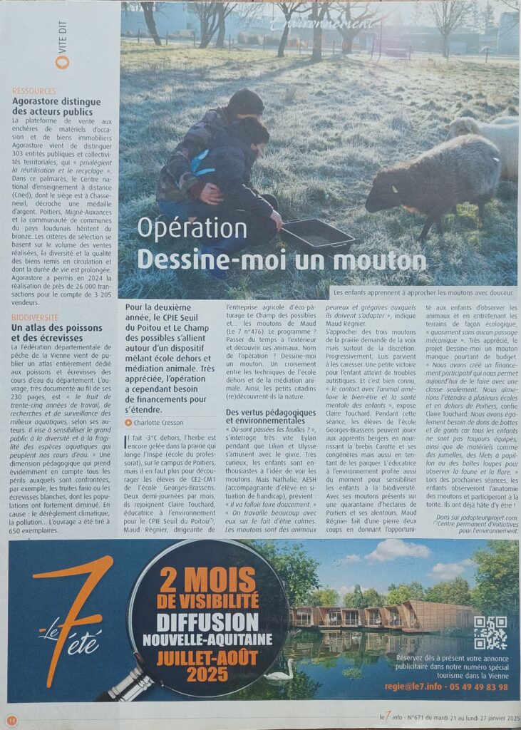 Article Le7 - classe dehors, dessine-moi un mouton