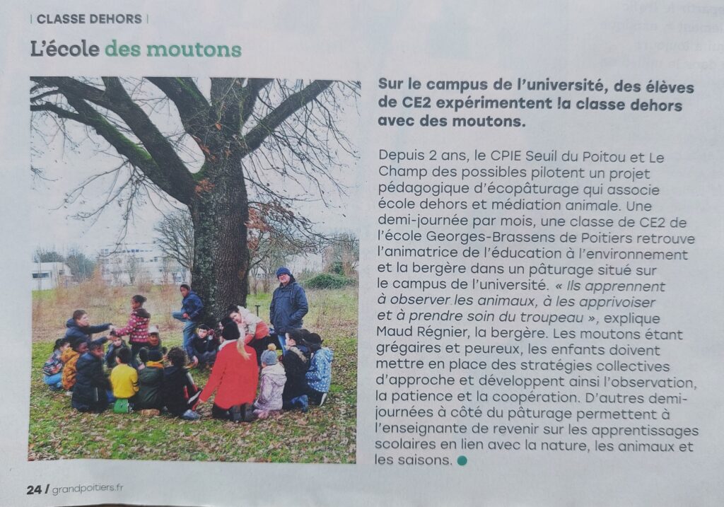 article Poitiers Mag - classe dehors, dessine moi un mouton