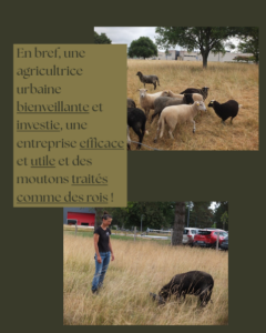 Photoreportage écopaturage