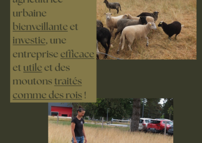Photoreportage écopaturage